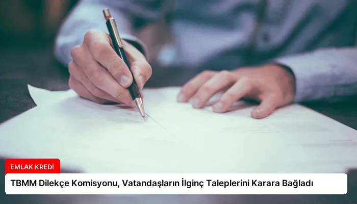 TBMM Dilekçe Komisyonu, Vatandaşların İlginç Taleplerini Karara Bağladı
