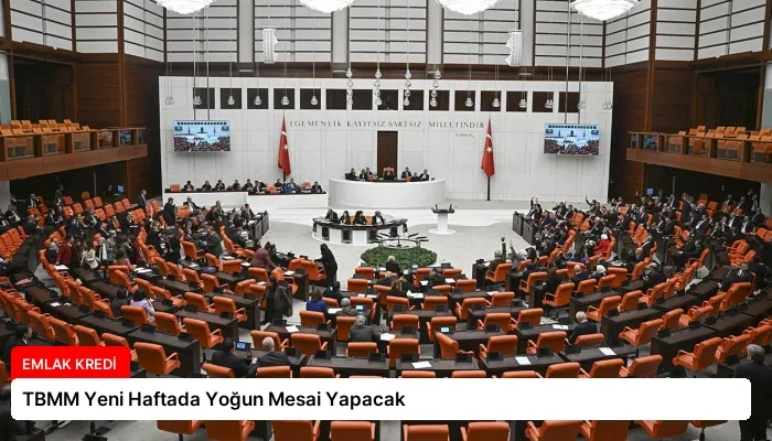 TBMM Yeni Haftada Yoğun Mesai Yapacak