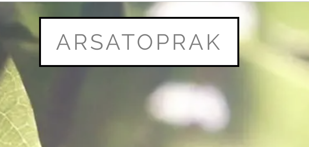 Arsa Toprak Blog Sitesi ile Yatırım Fırsatlarını Keşfedin