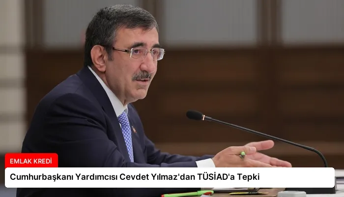 Cumhurbaşkanı Yardımcısı Cevdet Yılmaz’dan TÜSİAD’a Tepki