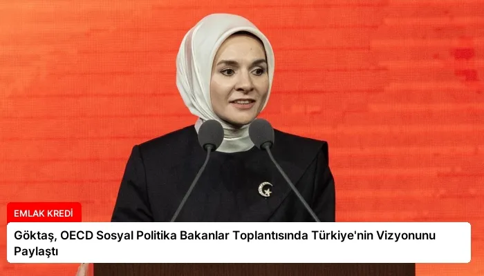 Göktaş, OECD Sosyal Politika Bakanlar Toplantısında Türkiye’nin Vizyonunu Paylaştı