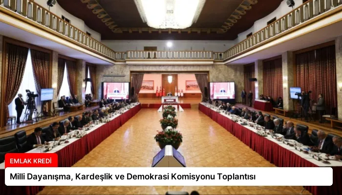 Milli Dayanışma, Kardeşlik ve Demokrasi Komisyonu Toplantısı