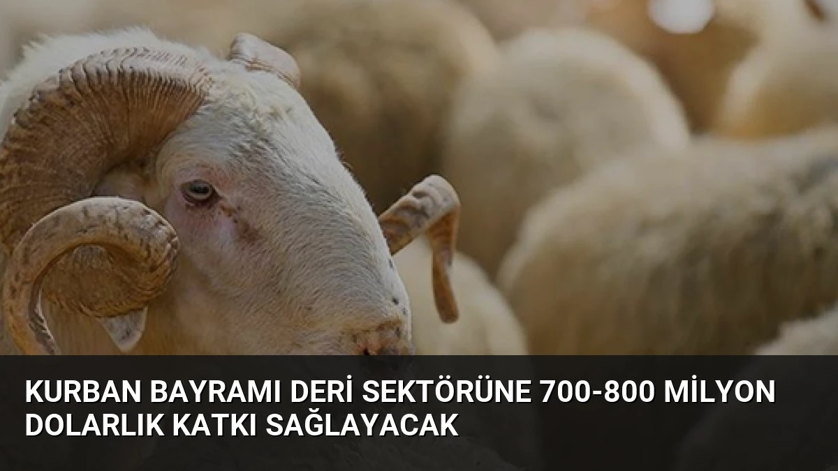 Kurban Bayramı Deri Sektörüne 700-800 Milyon Dolarlık Katkı Sağlayacak