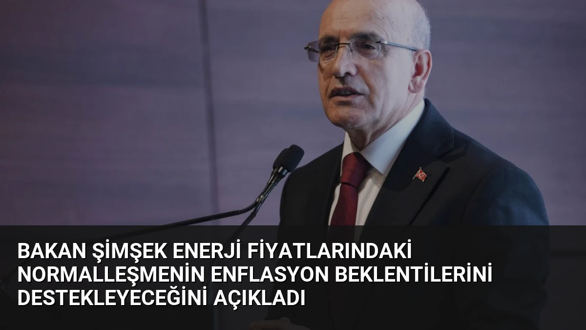 Bakan Şimşek Enerji Fiyatlarındaki Normalleşmenin Enflasyon Beklentilerini Destekleyeceğini Açıkladı