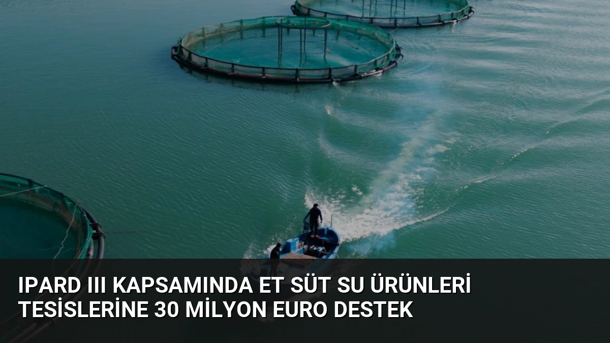 IPARD III Kapsamında Et Süt Su Ürünleri Tesislerine 30 Milyon Euro Destek