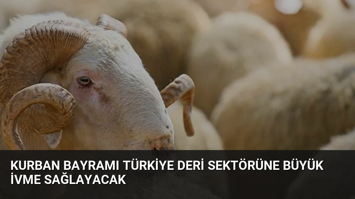 Kurban Bayramı Türkiye Deri Sektörüne Büyük İvme Sağlayacak