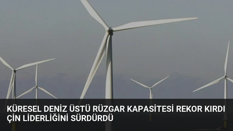 Küresel Deniz Üstü Rüzgar Kapasitesi Rekor Kırdı Çin Liderliğini Sürdürdü