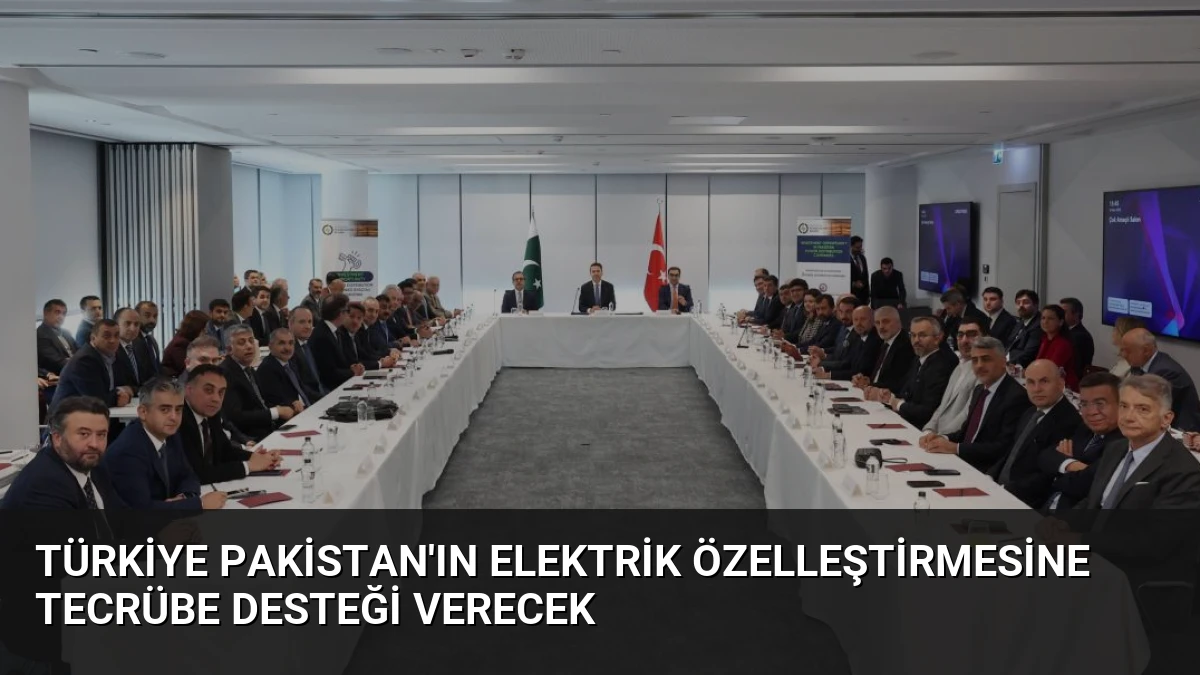 Türkiye Pakistan’ın Elektrik Özelleştirmesine Tecrübe Desteği Verecek