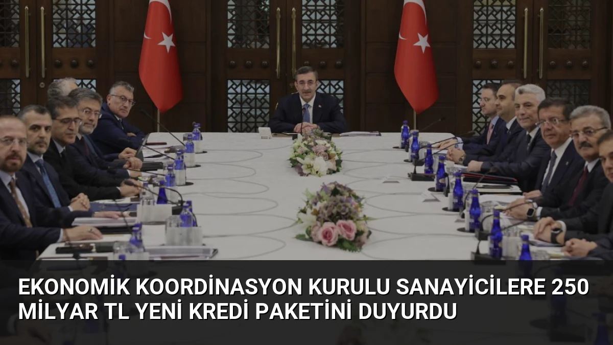 Ekonomik Koordinasyon Kurulu Sanayicilere 250 Milyar TL Yeni Kredi Paketini Duyurdu
