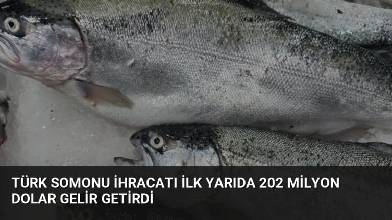 Türk Somonu İhracatı İlk Yarıda 202 Milyon Dolar Gelir Getirdi