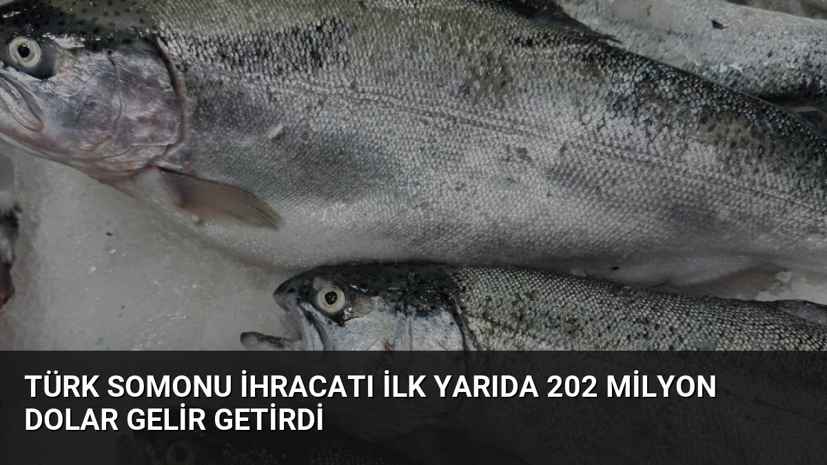 Türk Somonu İhracatı İlk Yarıda 202 Milyon Dolar Gelir Getirdi