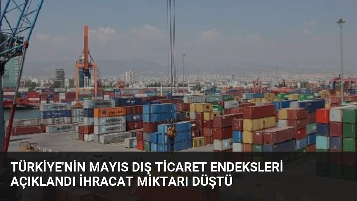 Türkiye’nin Mayıs Dış Ticaret Endeksleri Açıklandı İhracat Miktarı Düştü