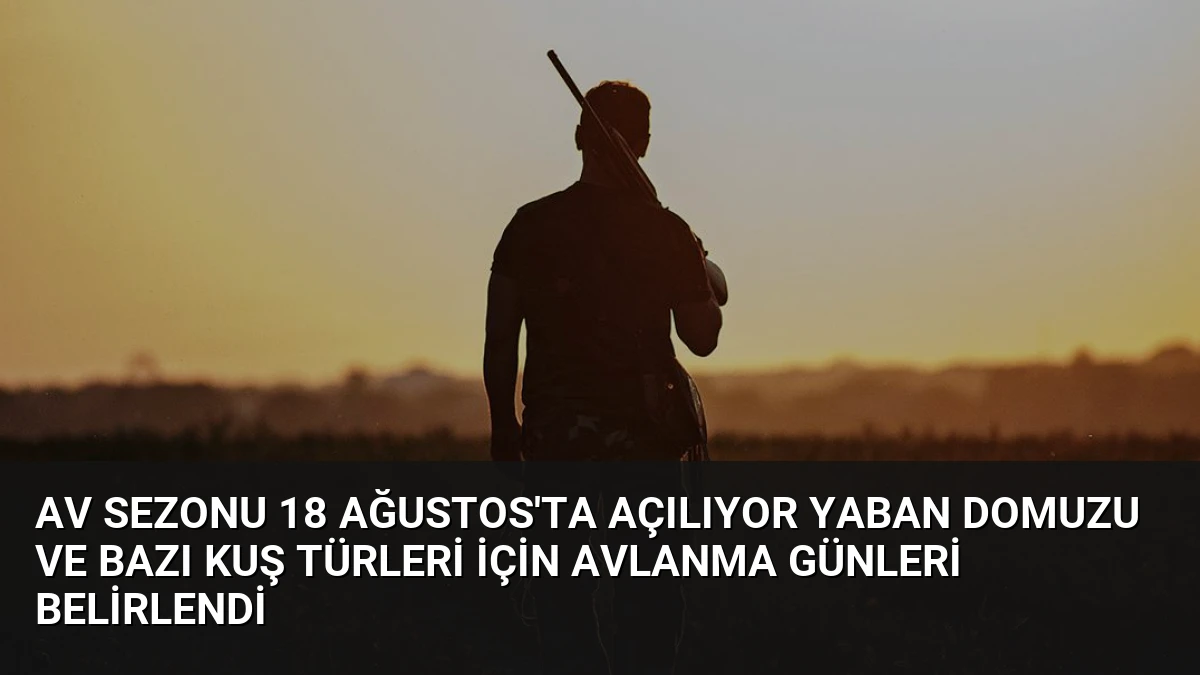 Av Sezonu 18 Ağustos’ta Açılıyor Yaban Domuzu ve Bazı Kuş Türleri İçin Avlanma Günleri Belirlendi
