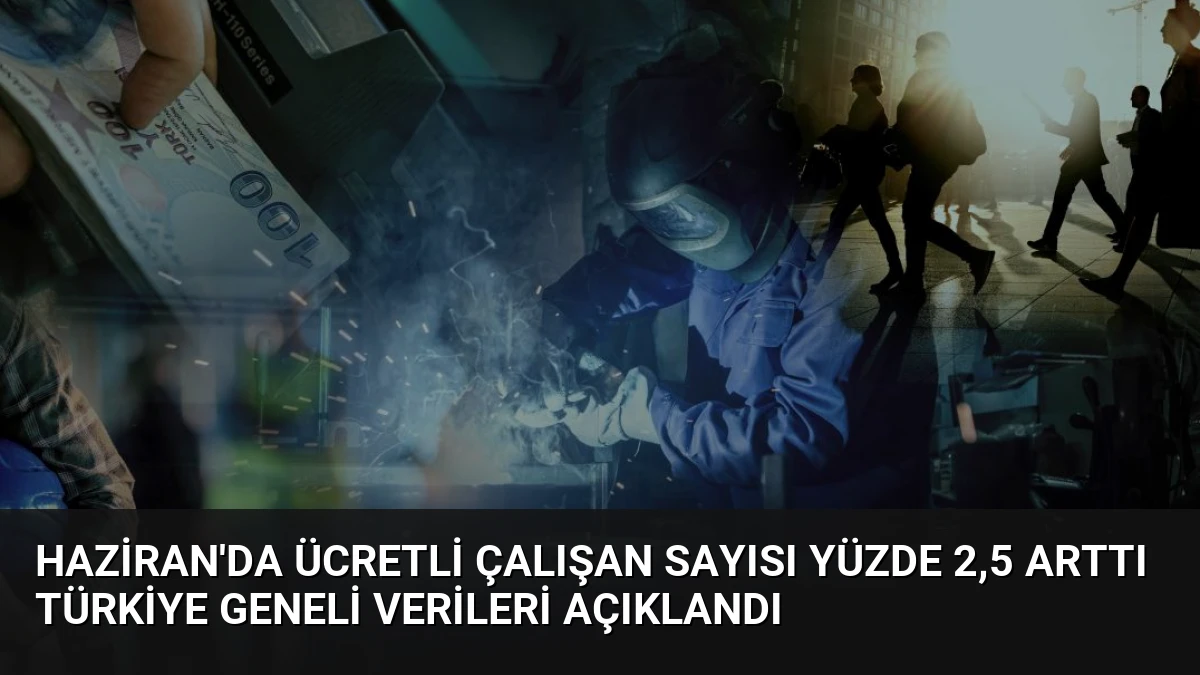Haziran’da Ücretli Çalışan Sayısı Yüzde 2,5 Arttı Türkiye Geneli Verileri Açıklandı