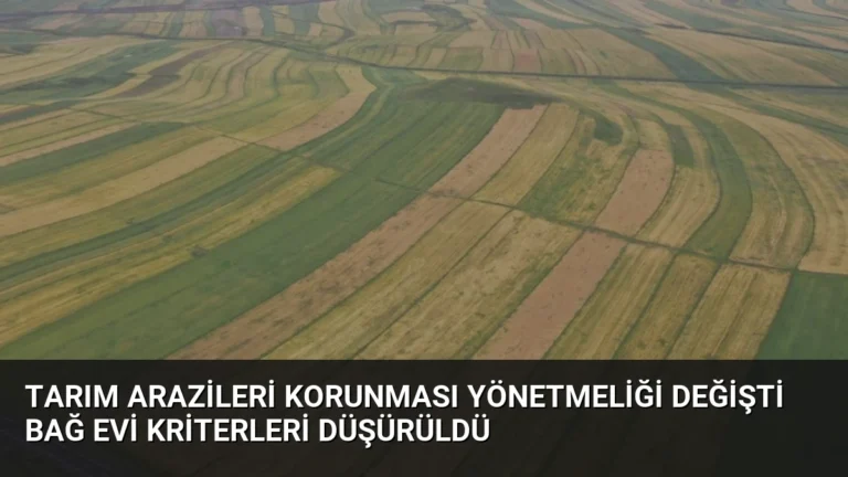 Tarım Arazileri Korunması Yönetmeliği Değişti Bağ Evi Kriterleri Düşürüldü