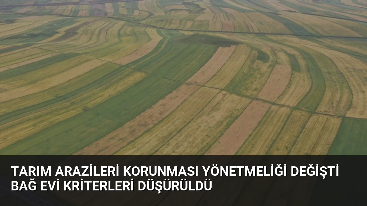 Tarım Arazileri Korunması Yönetmeliği Değişti Bağ Evi Kriterleri Düşürüldü
