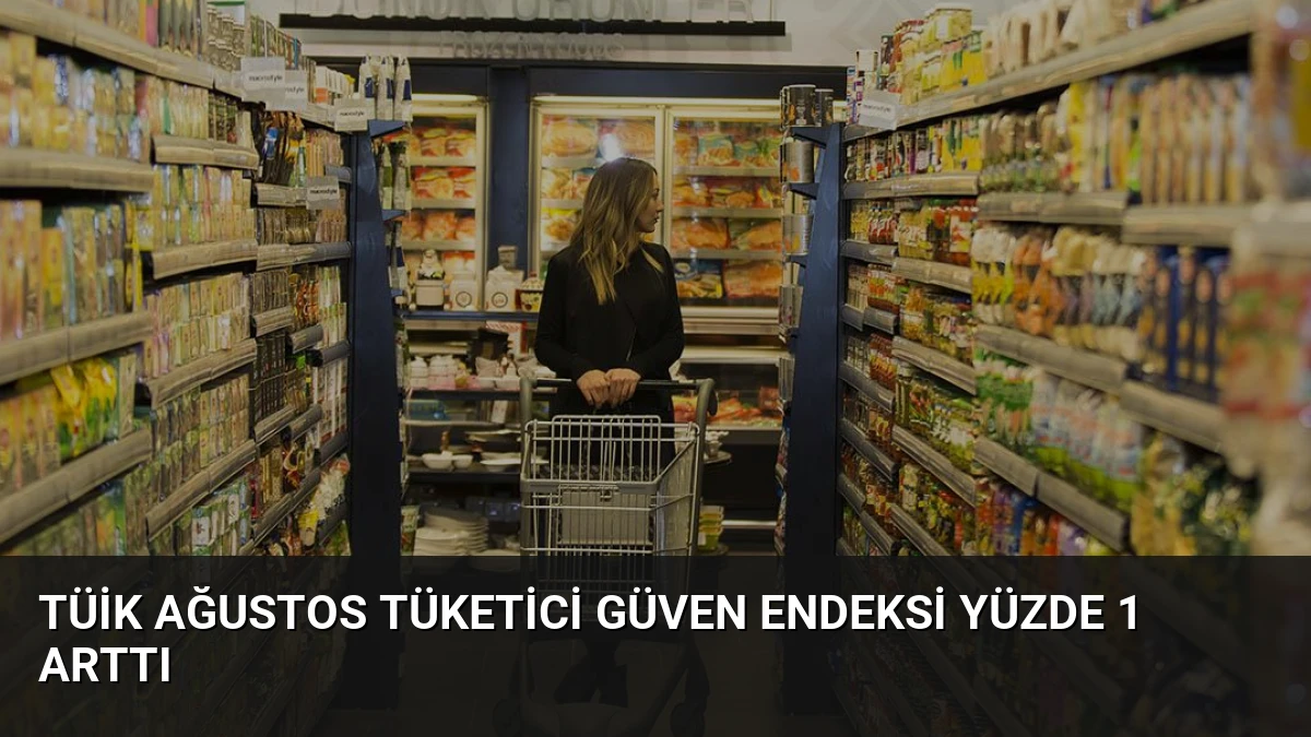 TÜİK Ağustos Tüketici Güven Endeksi Yüzde 1 Arttı