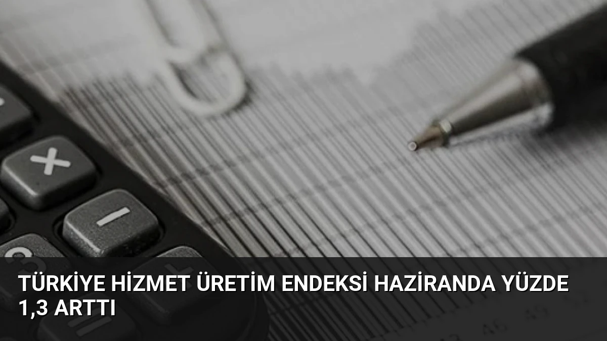 Türkiye Hizmet Üretim Endeksi Haziranda Yüzde 1,3 Arttı