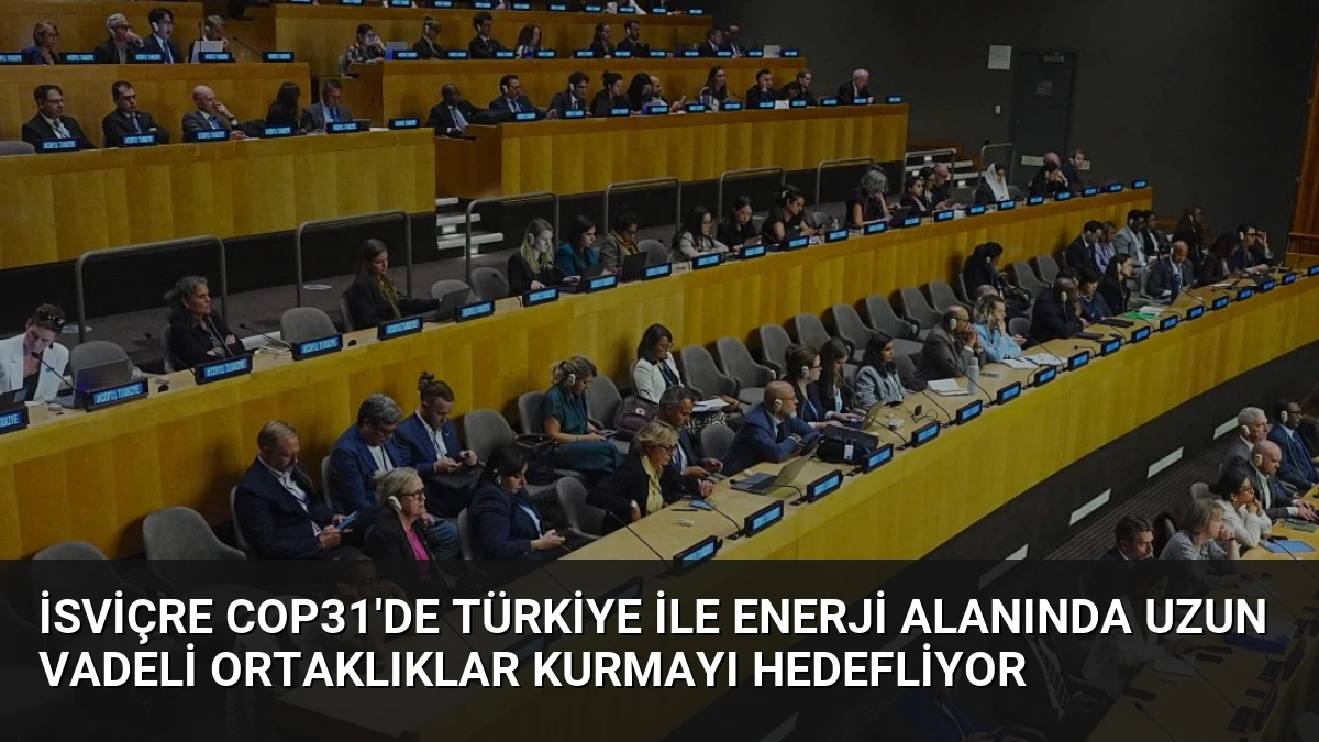 İsviçre COP31’de Türkiye ile Enerji Alanında Uzun Vadeli Ortaklıklar Kurmayı Hedefliyor