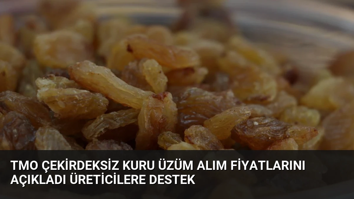 TMO Çekirdeksiz Kuru Üzüm Alım Fiyatlarını Açıkladı Üreticilere Destek