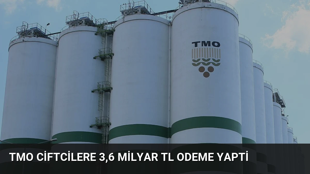 TMO Ciftcilere 3,6 Milyar TL Odeme Yapti