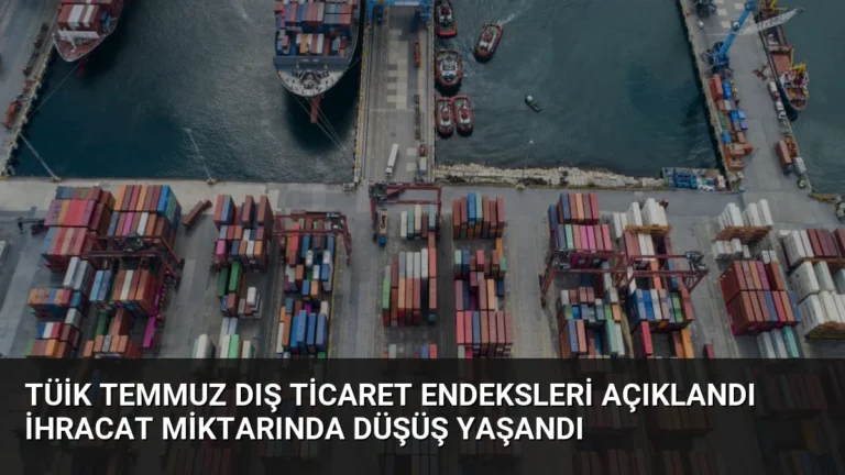 TÜİK Temmuz Dış Ticaret Endeksleri Açıklandı İhracat Miktarında Düşüş Yaşandı