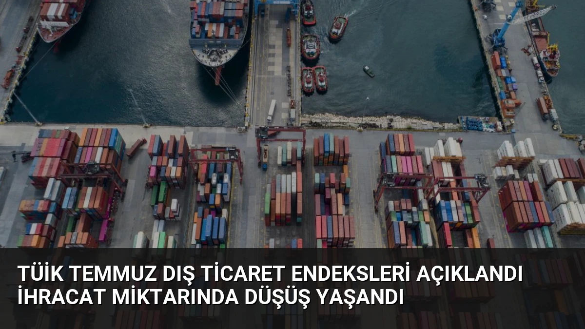 TÜİK Temmuz Dış Ticaret Endeksleri Açıklandı İhracat Miktarında Düşüş Yaşandı