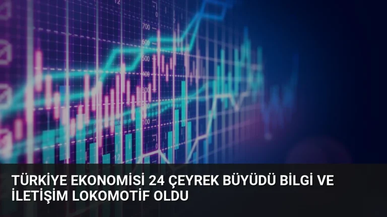 Türkiye Ekonomisi 24 Çeyrek Büyüdü Bilgi ve İletişim Lokomotif Oldu