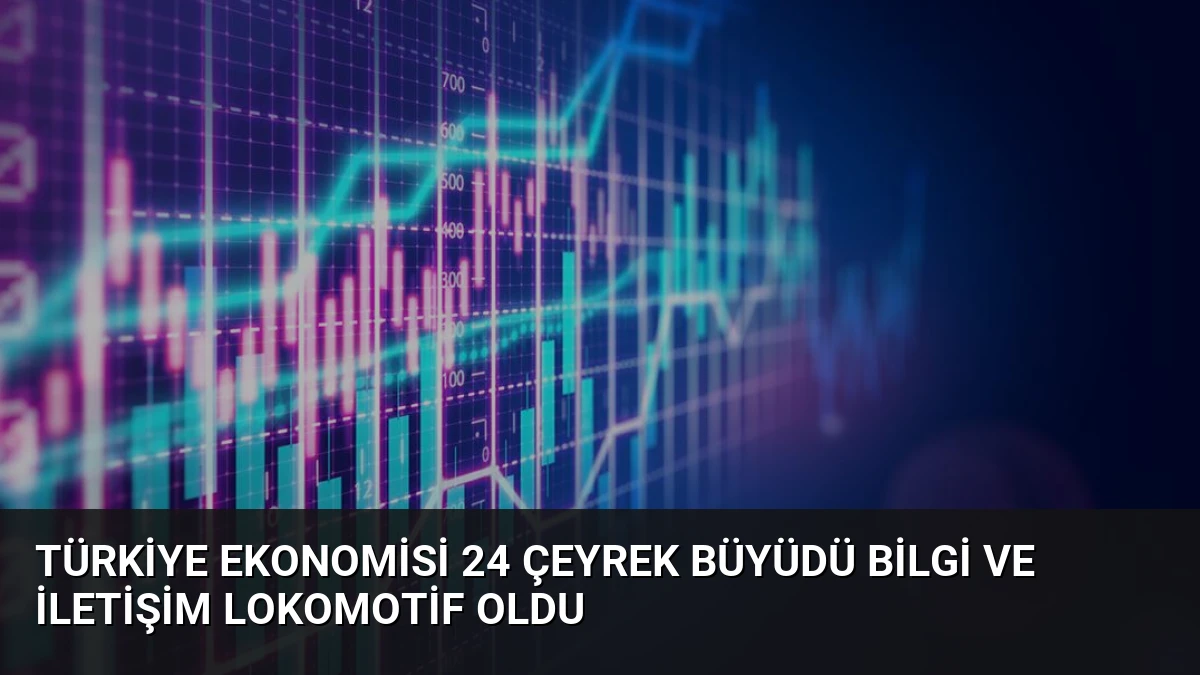 Türkiye Ekonomisi 24 Çeyrek Büyüdü Bilgi ve İletişim Lokomotif Oldu