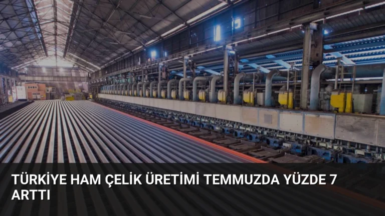 Türkiye Ham Çelik Üretimi Temmuzda Yüzde 7 Arttı