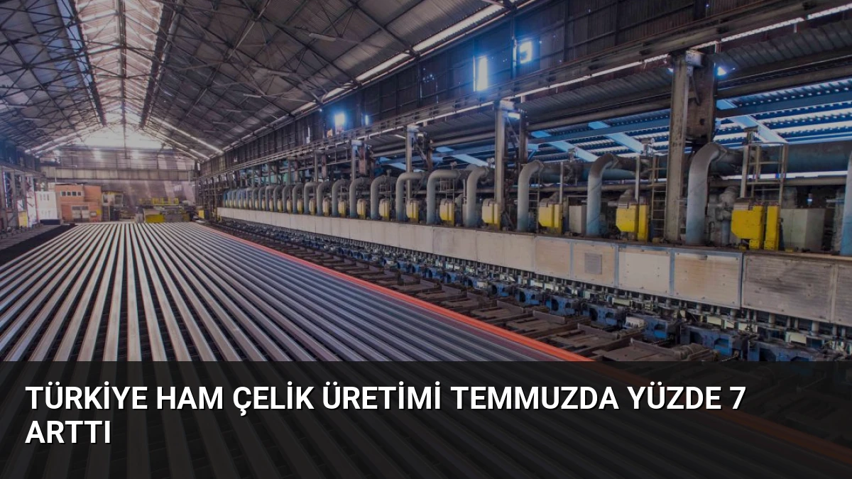 Türkiye Ham Çelik Üretimi Temmuzda Yüzde 7 Arttı