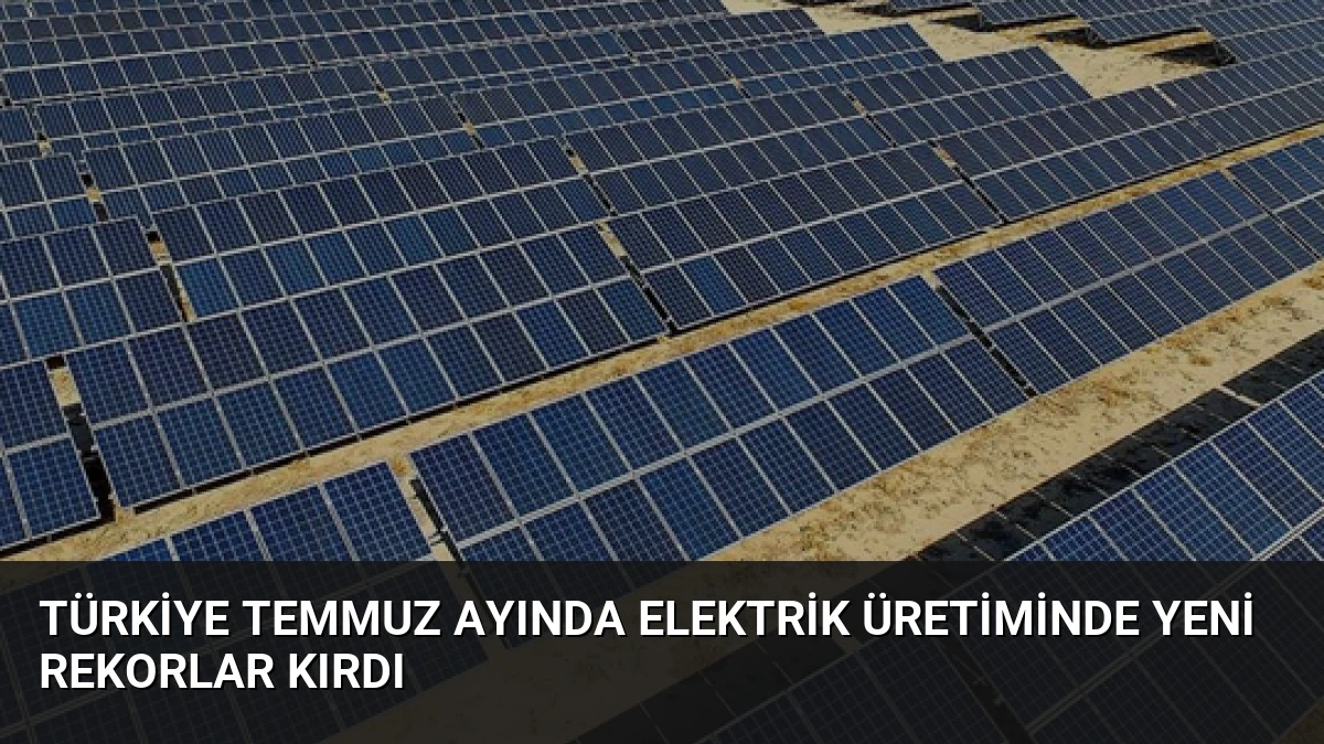 Türkiye Temmuz Ayında Elektrik Üretiminde Yeni Rekorlar Kırdı
