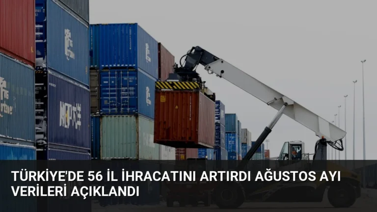 Türkiye’de 56 il ihracatını artırdı ağustos ayı verileri açıklandı
