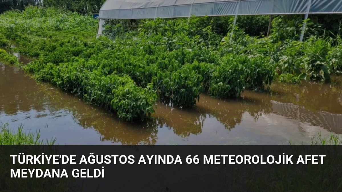 Türkiye’de Ağustos Ayında 66 Meteorolojik Afet Meydana Geldi
