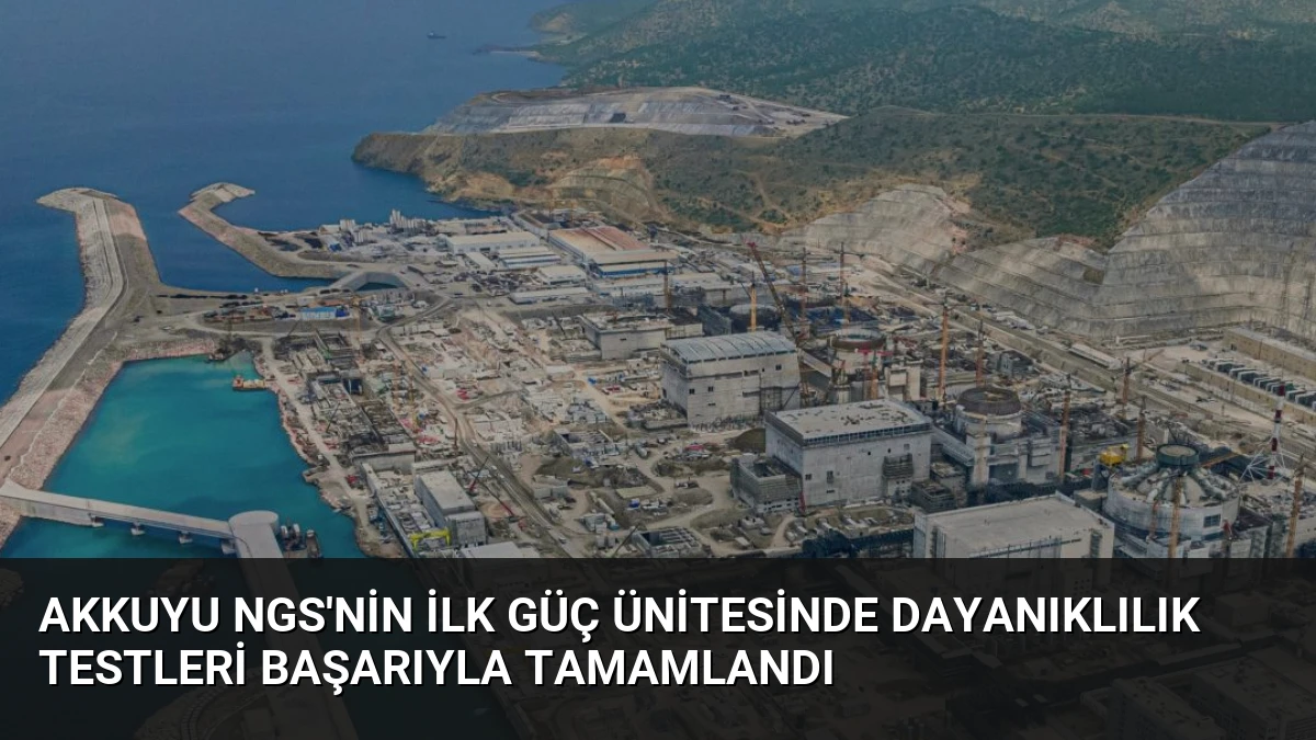 Akkuyu NGS’nin İlk Güç Ünitesinde Dayanıklılık Testleri Başarıyla Tamamlandı