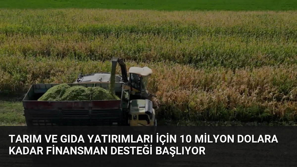 Tarım ve Gıda Yatırımları İçin 10 Milyon Dolara Kadar Finansman Desteği Başlıyor