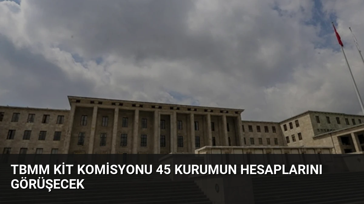 TBMM KİT Komisyonu 45 Kurumun Hesaplarını Görüşecek