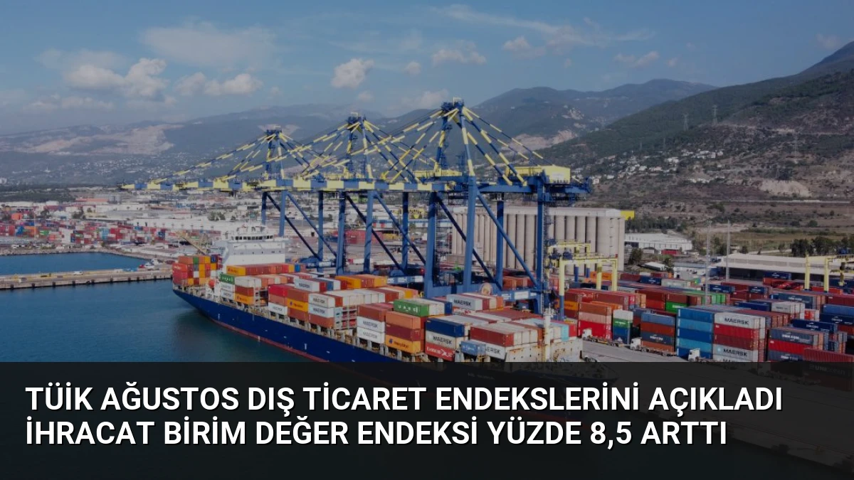 TÜİK Ağustos Dış Ticaret Endekslerini Açıkladı İhracat Birim Değer Endeksi Yüzde 8,5 Arttı