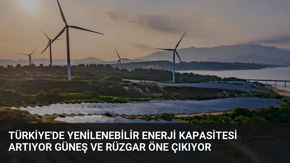 Türkiye’de Yenilenebilir Enerji Kapasitesi Artıyor Güneş ve Rüzgar Öne Çıkıyor