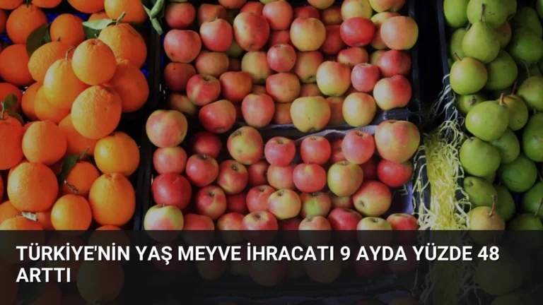 Türkiye’nin Yaş Meyve İhracatı 9 Ayda Yüzde 48 Arttı